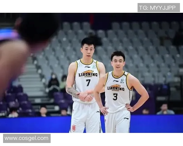 CBA精彩对决上海队迎战辽宁队视频直播全程回顾与分析